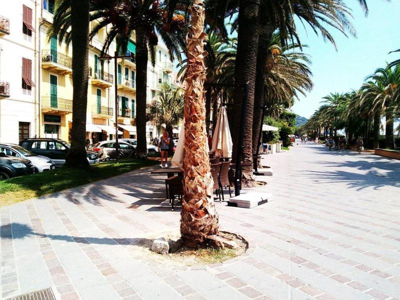 Ilgattosuruotefinalligure Finale Ligure Exterior foto